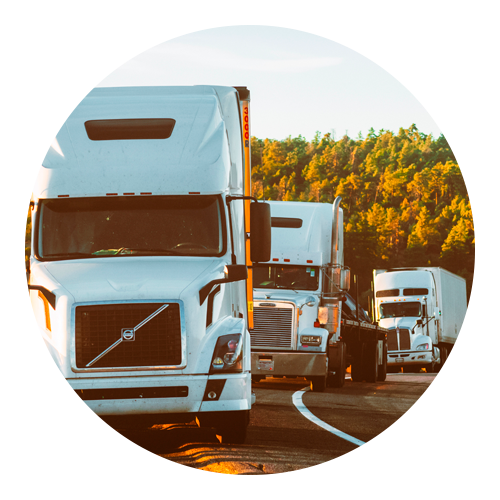 analíticos de manejo