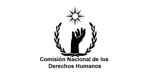 Comisión Nacional